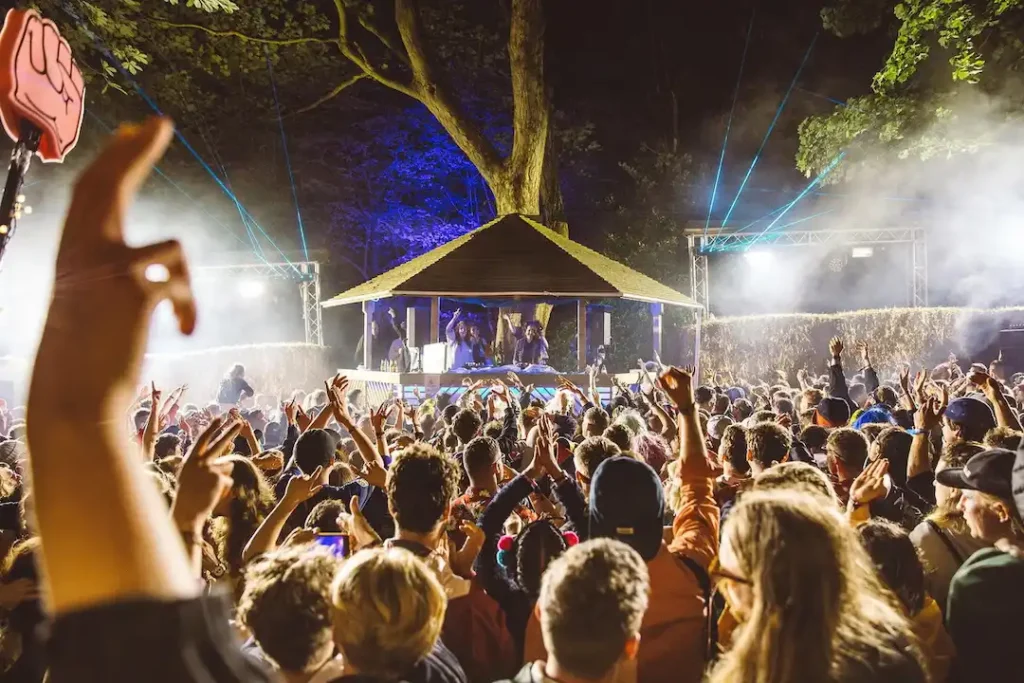 Music Curation Over Mainstream Hype