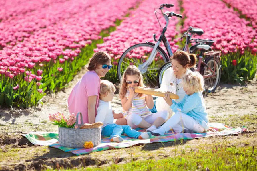 Tulip Gardens Family-Friendly