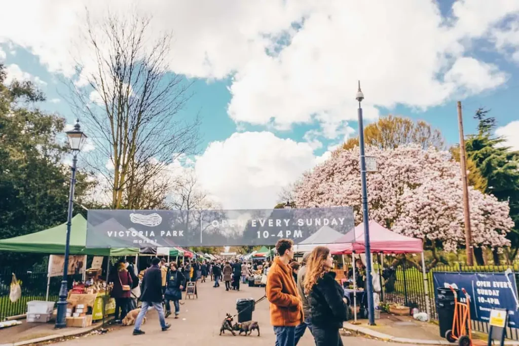 Things to Do at the Festival